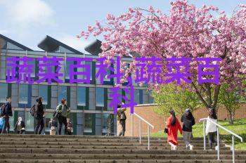 谁能告诉下多肉红缘莲花掌的种植养护