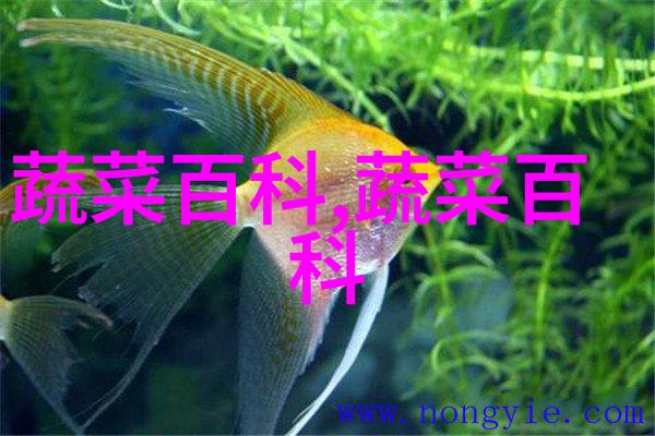 创业方案怎么做 怎么写好一遍正规的工作方案