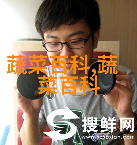 多肉植物白粉病的防治与养护从症状识别到全面解决方案