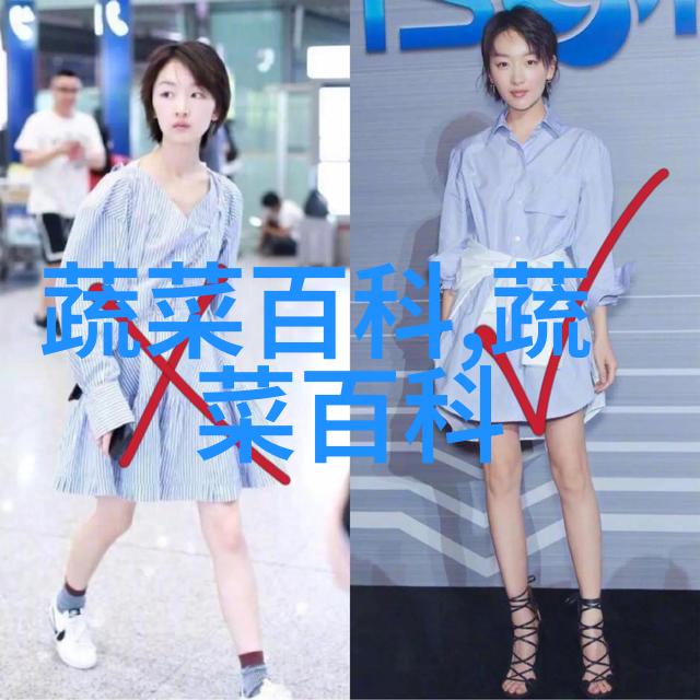 比较耐阴的室内花卉有那些